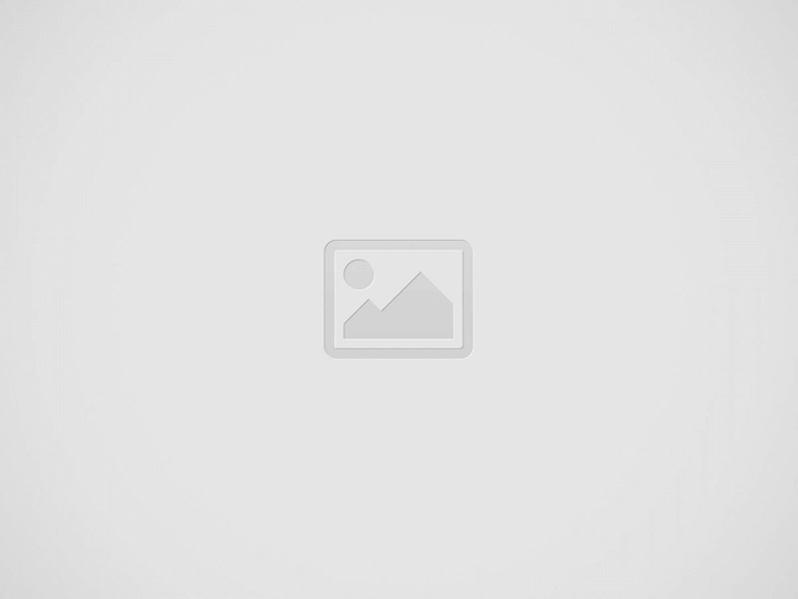 Review of the Best Delta 10 Gummies to Buy Online in 2023