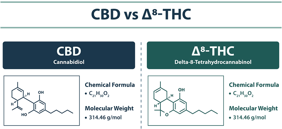 Some Ideas on Cbd Milwaukee You Should Know