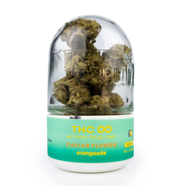 URB THC Infinity Caviar Flower - Orangeade 7G