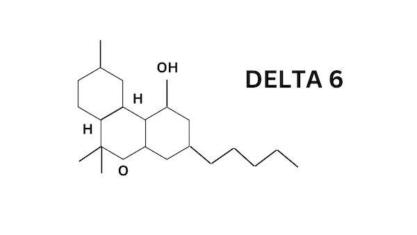 Molecular structure of Delta 6