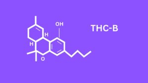 THC-B