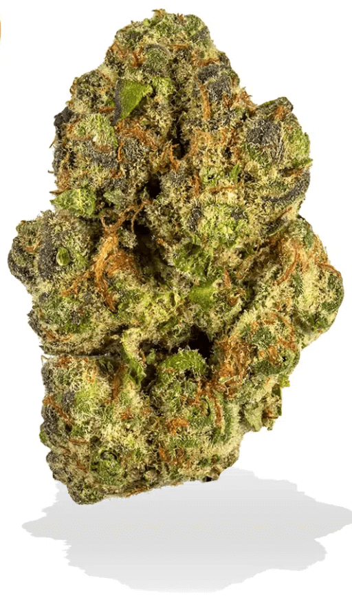 Berry Pie High THCA Flower