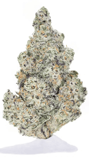 Platinum Purple Cookies High THCA Flower