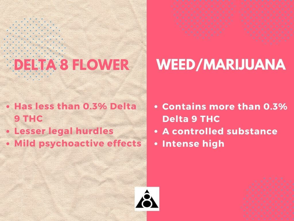 Delta 8 Flower vs Weed Whats the Difference