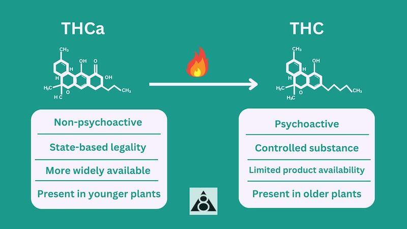 THCA VS THC