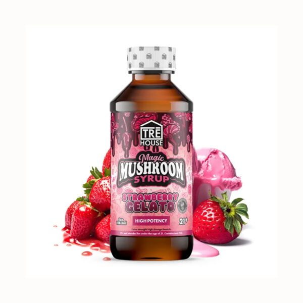 TRE House - Mushroom Syrup - Strawberry Gelato