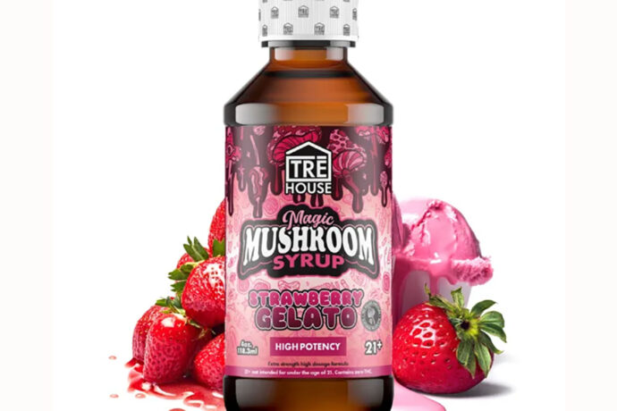 TRE House - Mushroom Syrup - Strawberry Gelato
